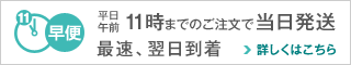 午前11時までの注文で当日発送[早便]