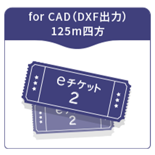 eチケット2　出力サービス for CAD（DXF出力）125m四方
